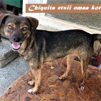 Chiquita