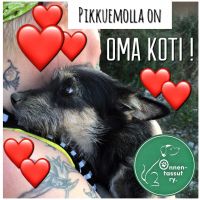 pikkuemo